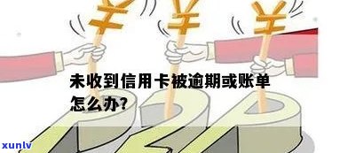 未收到信用卡被逾期，如何处理未收到的逾期通知和账单？