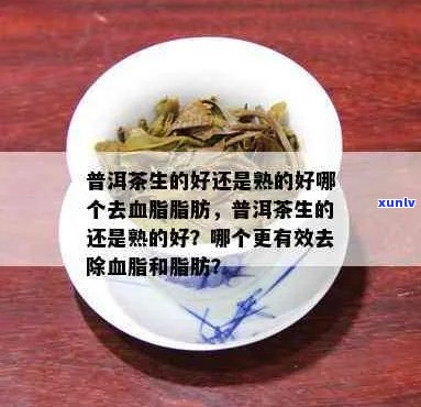 普洱茶选择：生茶还是熟茶？哪个对血脂高的人更有益？