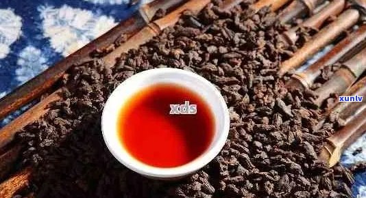 普洱茶选择：生茶还是熟茶？哪个对血脂高的人更有益？