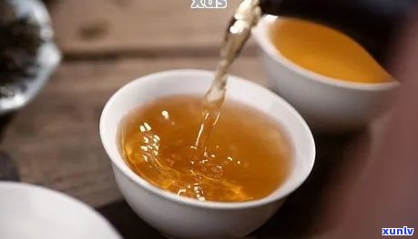 普洱茶选择：生茶还是熟茶？哪个对血脂高的人更有益？