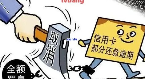 信用卡逾期贷款被拒怎么办？