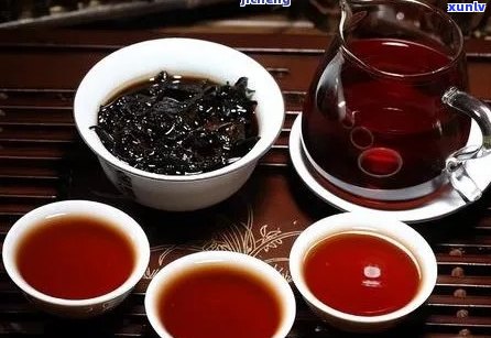 血脂高能吃普洱茶么