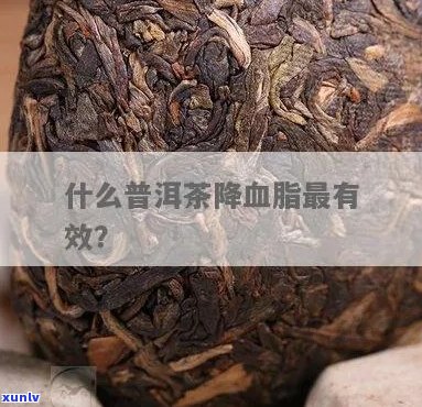 血脂高能吃普洱茶么