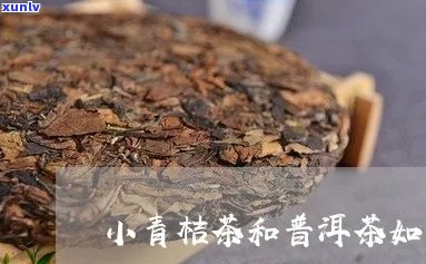 小青桔普洱茶如何选