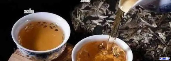 普洱茶饼泡法窍门：简单步骤，正确 *** ，如何泡出好茶