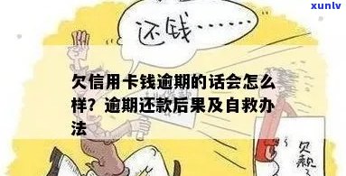 信用卡逾期还款后果：没钱还该怎么办？