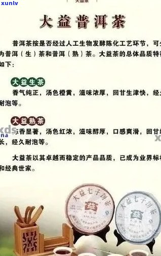 大益普洱茶之魅力：品质优良与文化底蕴并存的完美结合