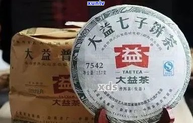 大益普洱茶：五大经典系列比较，哪款最适合你？