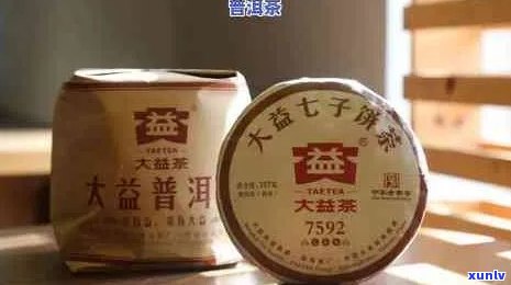 大益普洱茶：五大经典系列比较，哪款最适合你？