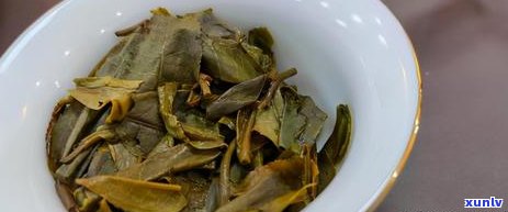 大益普洱茶是那点的