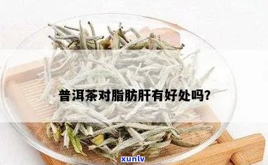 普洱茶：脂肪肝的救星？科学研究解析其功效与潜力