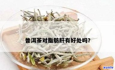 新普洱茶：脂肪肝的？科学研究解析其对脂肪肝的影响。