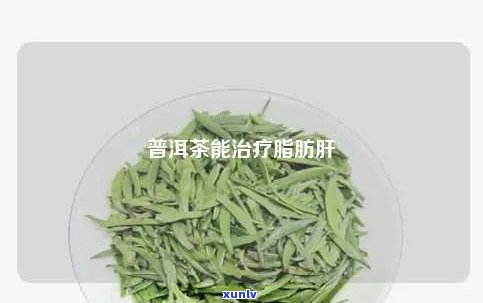 普洱茶能去除脂肪肝