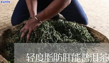 普洱茶能去除脂肪肝