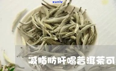 普洱茶能去除脂肪肝