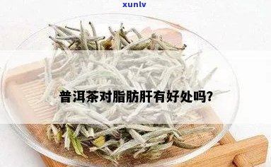 普洱茶能去除脂肪肝