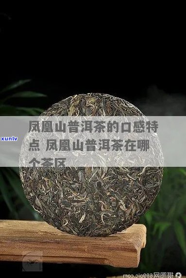 普洱凤凰山古茶口感特点及品种介绍