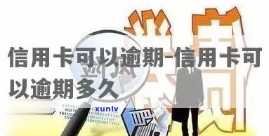 信用卡逾期是否会影响签证申请？重要提示和应对策略！