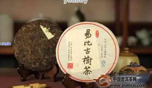 广雅普洱茶怎么样：好喝吗？品质如何？在哪里购买？百度贴吧讨论