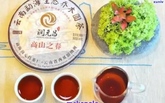 广雅普洱茶怎么样：好喝吗？品质如何？在哪里购买？百度贴吧讨论