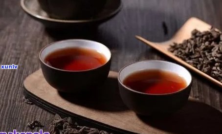 广雅普洱茶的优势、品质及其口感详解