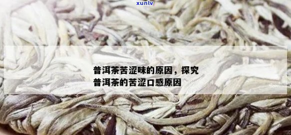 探究普洱茶的苦甜涩味：哪种茶叶具有最明显的口感特征？