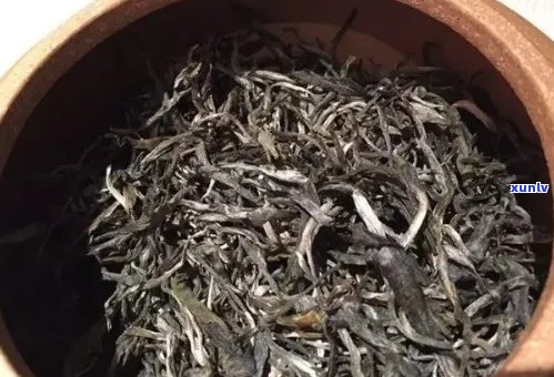 普洱茶中最苦的茶叶种类及其特点解析