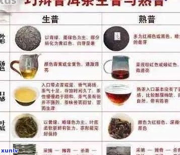 普洱茶中最苦的茶叶种类及其特点解析