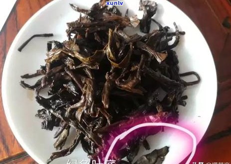 普洱茶苦涩吗？能喝吗？为什么？如果有点苦涩怎么办？普洱茶苦吗？