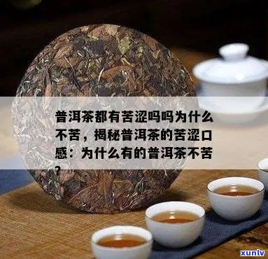 普洱茶：苦味 vs 无苦，哪个更适合你？