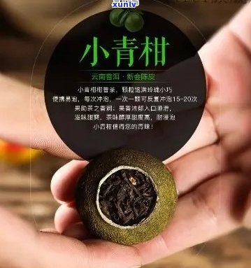 探究小青桔普洱茶的多重益处：从健到美味的综合体验