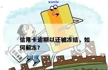 信用卡逾期后的有效应对策略：解冻经验与小贴士