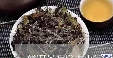 普洱茶能清热解火吗