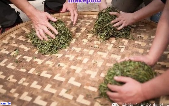 普洱茶加工工序详解：从采摘到 *** 的全过程及注意事项