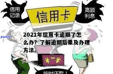 逾期信用卡后如何重新办理，详细步骤与注意事项一览