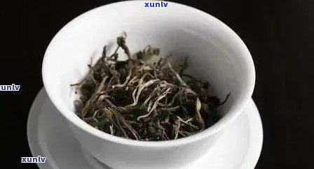 大叶种普洱生茶：少芽头的品质与口感分析