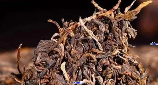 普洱茶：嚼食是否可行？是否含有有成分？探讨普洱茶的食用 *** 与安全性