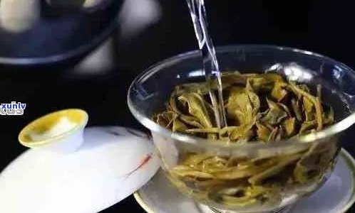 普洱茶可以直接泡水喝吗？