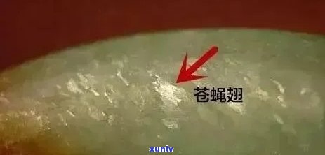 翡翠苍蝇的含义及其在不同语境下的解释：探索这一 *** 用语的多重意义