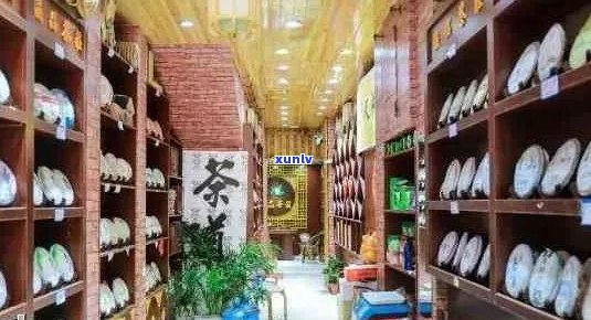 七彩云南茶叶专卖店：优质普洱茶品种与购买地点一览无余