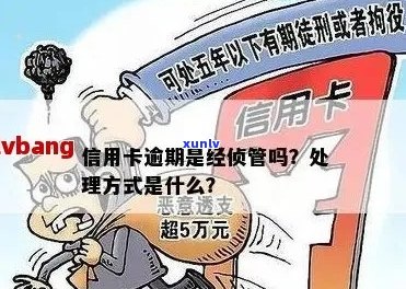 信用卡逾期经侦自首：处理方式、影响及可能的后果