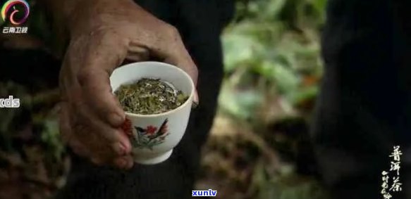 央视普洱茶录片2019-2022:探究普洱茶的历与文化