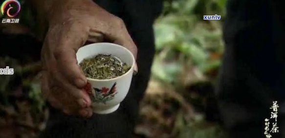 央视普洱茶录片2019-2022:探究普洱茶的历与文化