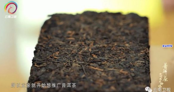 央视的普洱茶录片