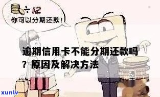 欠信用卡为什么不能分期还款？