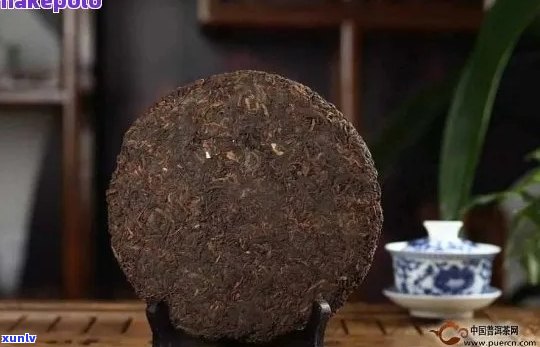 普洱茶饼与砖坨：哪种形态的普洱茶更具品质与口感？对比分析与选择建议