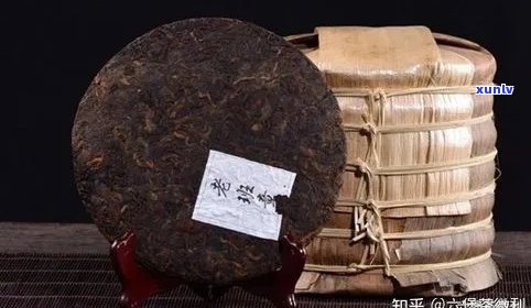 普洱茶饼与砖坨：哪种形态的普洱茶更具品质与口感？对比分析与选择建议