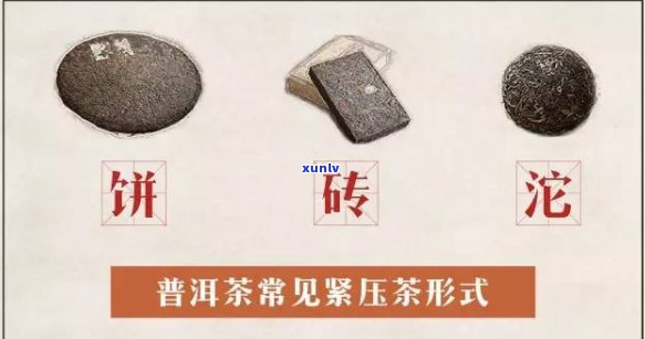 普洱茶的不同形态：饼、坨与砖的区别与应用