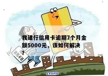 建行信用卡逾期五年5000元：处理策略与影响分析