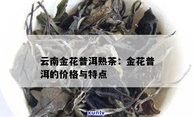 云南普洱茶中金花的价值及其市场价格分析